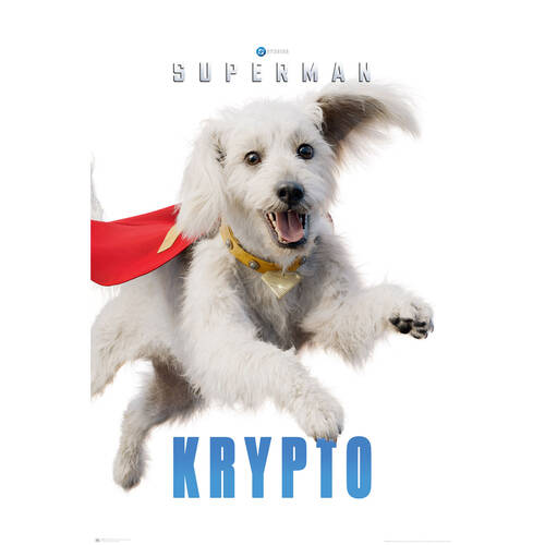 DC Comics Superman Movie Krypto Regular Wall Poster/Print 61 x 91.5cm