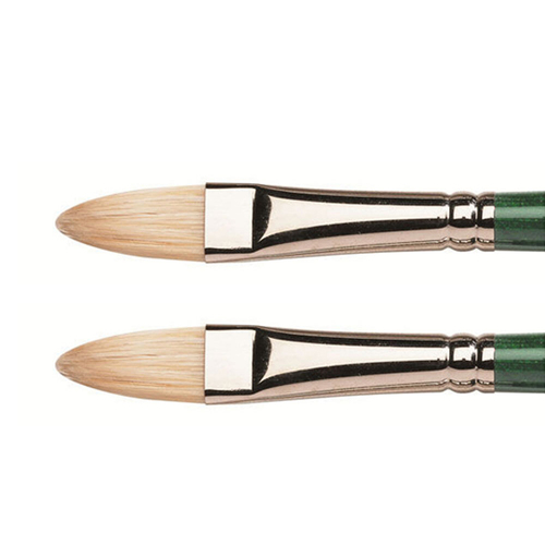 2PK Winsor & Newton WOC Winton Hog Filbert Paint Brush - Size 8