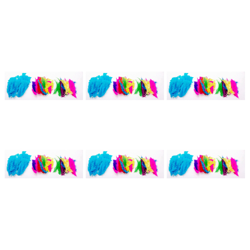 6PK Jasart 30g Large Feathers Art/Craft Decoration - Assorted