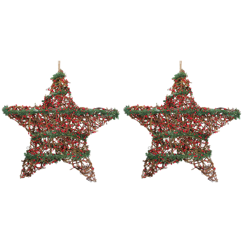 2PK LVD 30x30cm Plastic Star Berry Twigs Home/Living Room Decor