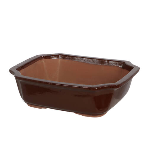 Esschert Design Rectangular Bonsai Pot Gardening Accessory Large Brown