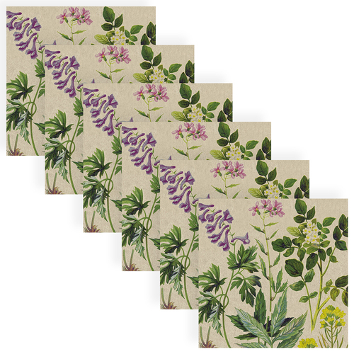 120pc Paper+Design Luncheon 3-Ply Napkin 33x33cm - Botanical Pattern