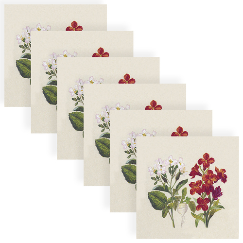 120pc Paper+Design Luncheon 3-Ply Napkin 33x33cm - Botanical