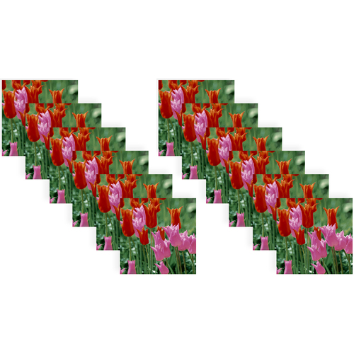 240pc Paper+Design Luncheon 3-Ply Napkin 33x33cm - Garden Tulips