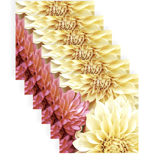 120pc Paper+Design Luncheon 3-Ply Napkin 33x33cm - Soft Dahlias