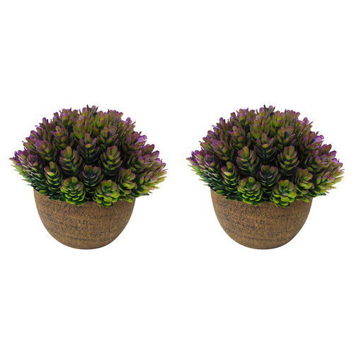 2PK LVD Potted 11cm Formal Moss Artificial Faux/Fake Plant Small - Purple