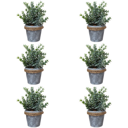 6PK LVD Artificial Gum Leaf Pot w/ Rope Home Decor 20cm