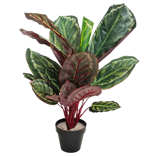 LVD 60cm Faux Peacock Plant