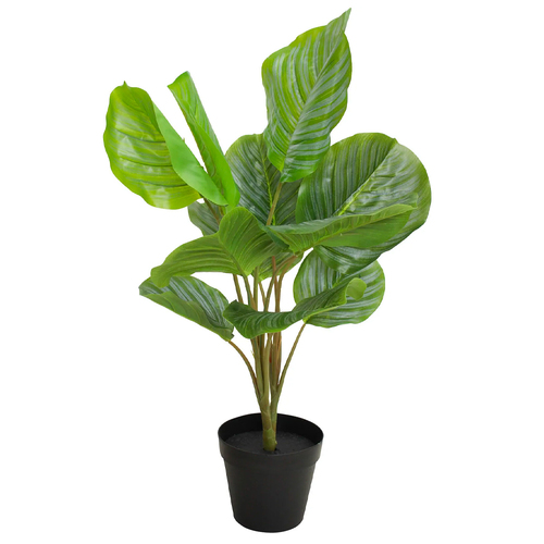 LVD 70cm Faux Calathea Plant 