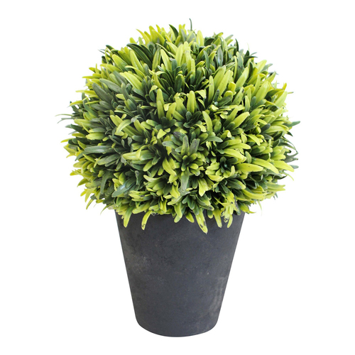 LVD Potted 21cm French Moss Artificial Faux/Fake Plant - Green