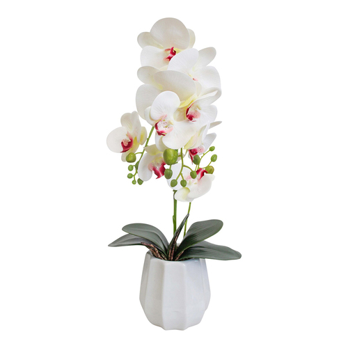 LVD Faux 54cm Orchid Artificial Flower w/ Pot Medium - White