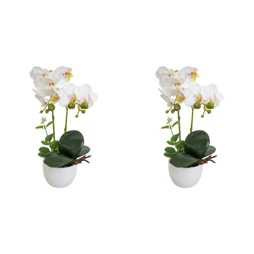 2PK LVD Faux Artificial Orchid Double White Potted Plant 36cm