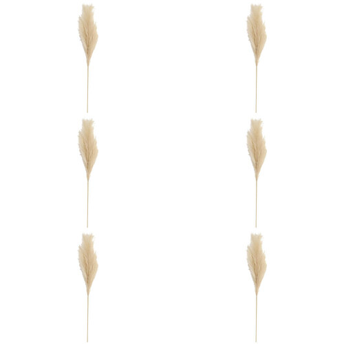 6PK LVD Faux Plastic Stem Pampas Grass Home Decor 98cm - Beige