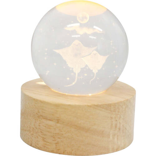 LVD Wooden LED Glass Ball Sphere Bedroom Decoration 7x3cm Stingray