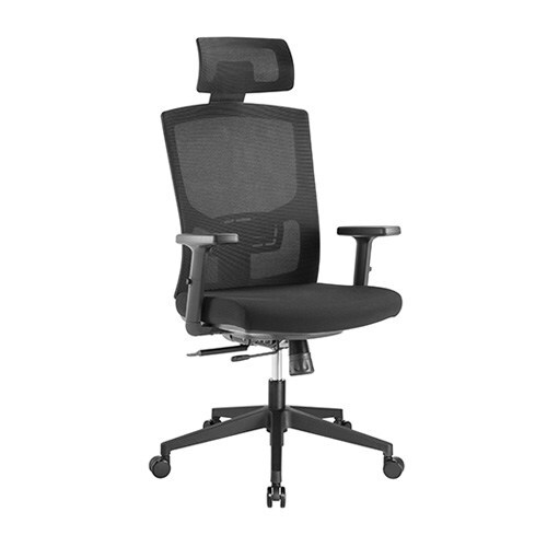 Brateck Ergonomic Mesh Office Chair w/  Headrest Up To 150Kg - Mesh Fabric