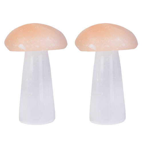 2PK Wishstone Gemstone Soothing Selenite Mushroom Wellness Stone
