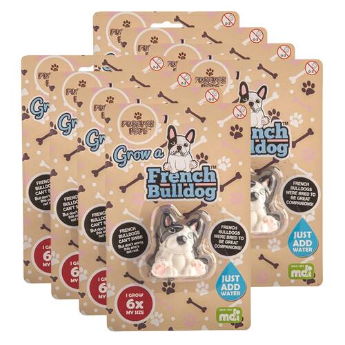 8PK MDI Grow a French Bulldog Kids Activity Fun Play Interactive Toy 