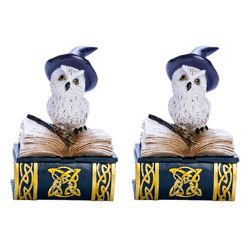 2PK Mystical Worlds Snowy Owl Book Trinket Box Figurine Ornament Home Decor
