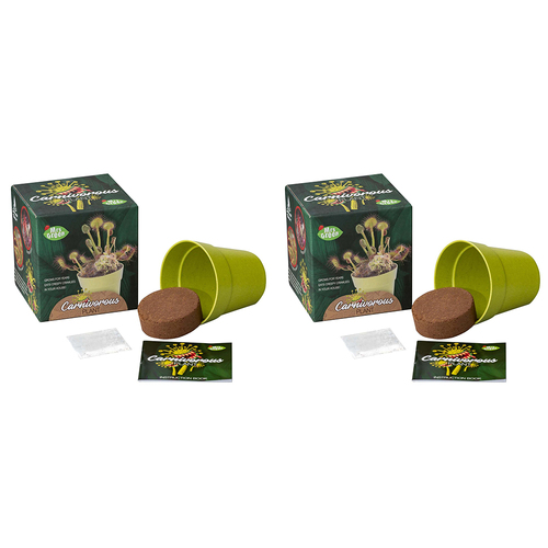 2PK Mrs Green Grow Your Own Carnivorous Plant Kids Growing Kit
