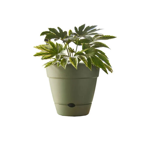 Northcote Pottery Leonard 38x34cm Self Watering Green