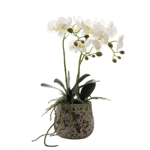 Belle Orchid in Ceramic Pot 45cm Artificial Plant - White
