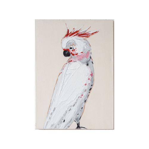 Rayell 50x70cm Premium Artwork Wall Art - Spot the Cockatoo
