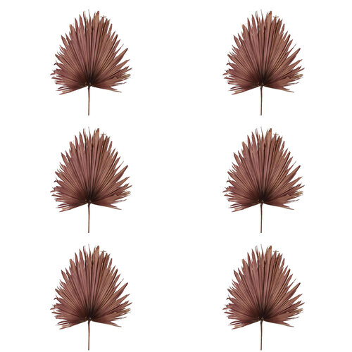 6PK Belle Preserved Palm Leaf Dried Plant Large 114cm - Pink