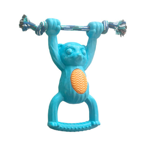 Pro Pet Care Super Strong TPR Monkey Hand Pull Dog Toy With Rope 25cm Assorted