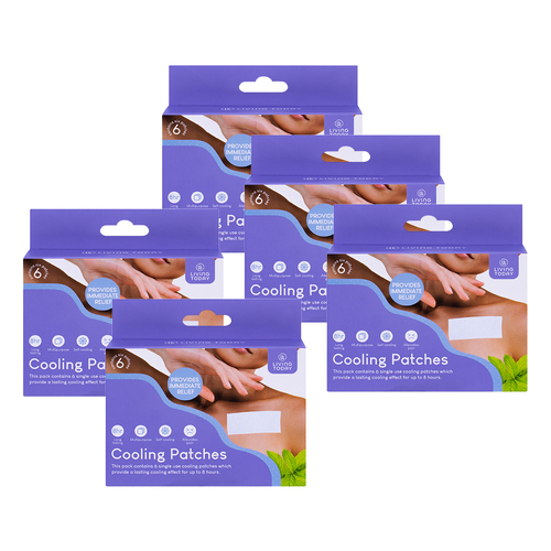 30PK Living Today Multipurpose Cooling Body Patches 12x5cm