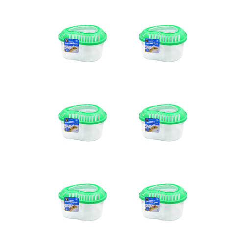 6PK Dudley's World Of Pets Reptile/Critter Tank Small Assorted 21x13cm