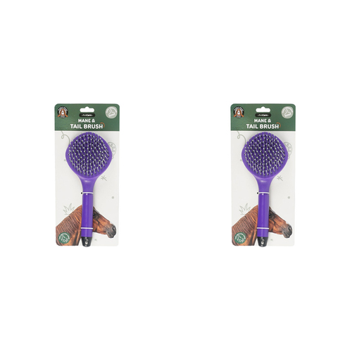 2PK Dudley's World Of Pets Horse Care Mane & Tail Brush