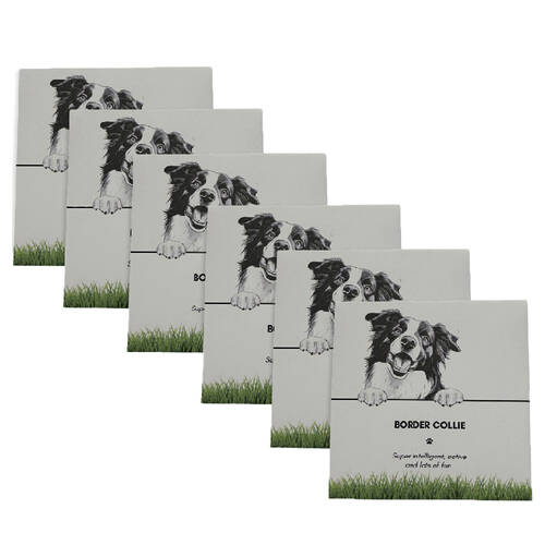 6PK Bramble Bay Pet Kitchen Coaster Border Collie Dog Lover Gift 11x11cm