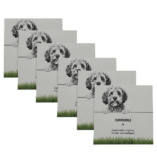 6PK Bramble Bay Pet Kitchen Coaster Cavoodle Dog Lover Gift 11x11cm