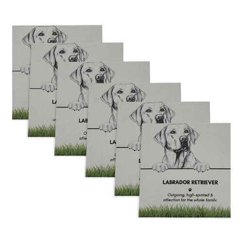6PK Bramble Bay Pet Kitchen Coaster Labrador Retriever Dog Lover Gift 11x11cm