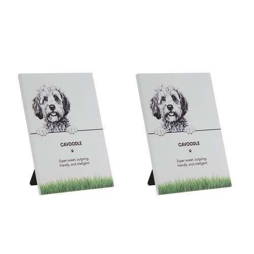 2PK Bramble Bay Pet Wall Plaque Cavoodle Dog Lovers Gift 16.5x21cm