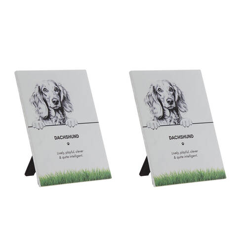 2PK Bramble Bay Pet Wall Plaque Dachshund Dog Lovers Gift 16.5x21cm