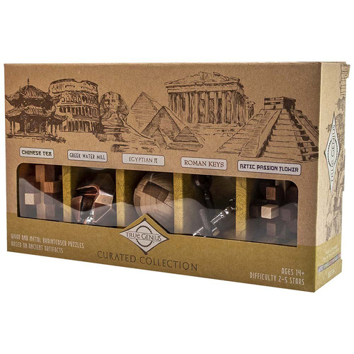 Project Genius Curated Collection Puzzle Solving Toy 14y+