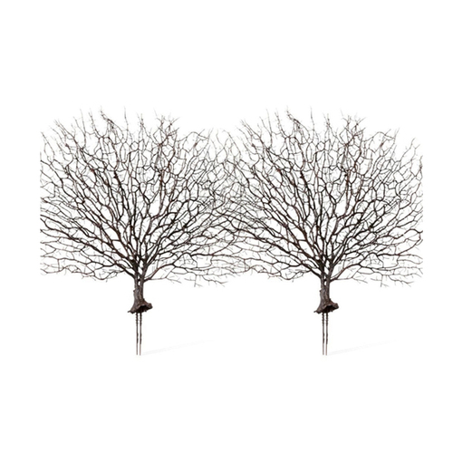 2PK E Style Artificial 48cm Plastic Coral Fan Sea Plant - Brown