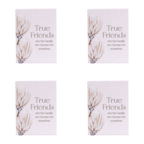 4PK Splosh Palm Cove True Friends Ceramic Fridge Magnet 8x6cm