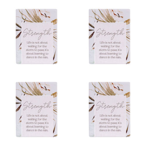 4PK Splosh Palm Cove Strength Ceramic Fridge Magnet 8x6cm