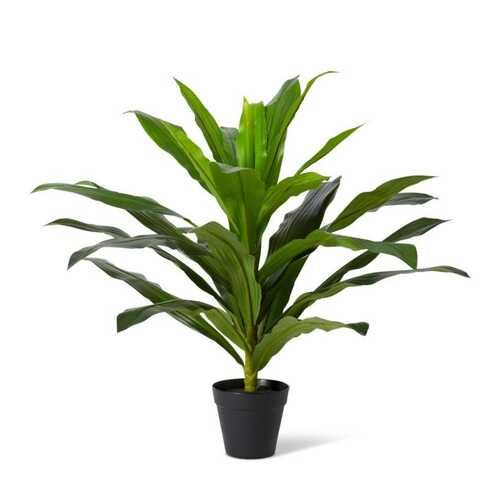E Style 60cm Dracaena Potted Artificial Plant Decor - Green