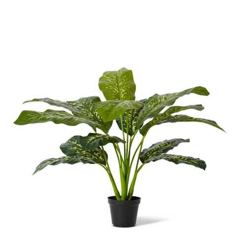 E Style 64cm Dieffenbachia Potted Artificial Plant Decor - Green