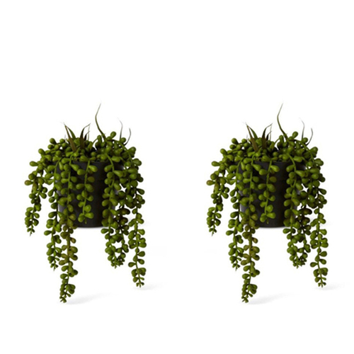 2PK E Style 23cm String of Pearls Artificial Hanging Potted Plant - Green