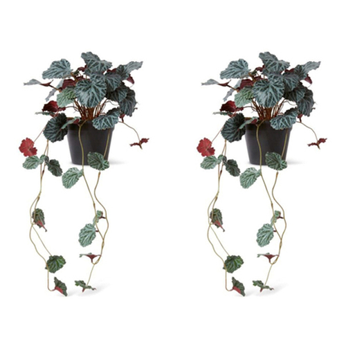 2PK E Style 56cm Saxifraga Artificial Potted Hanging Plant