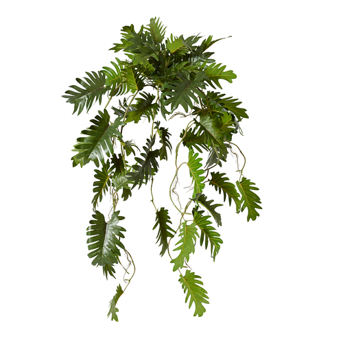 E Style Philodendron Hanging Plant Potted - 38 x 35 x 84cm