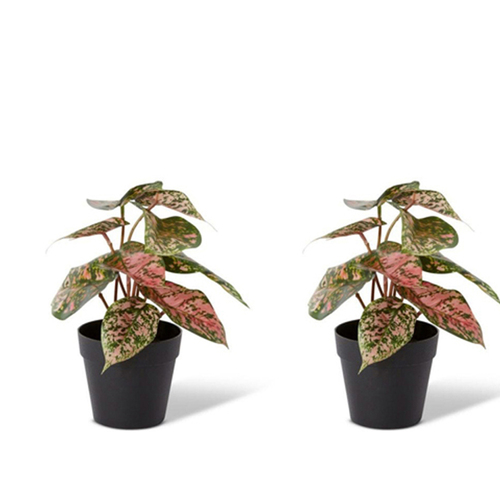 2PK E Style 23cm Aglaonema Artificial Potted Plant - Green/Pink