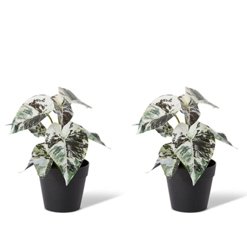2PK E Style 23cm Aglaonema Artificial Potted Plant - Green/White