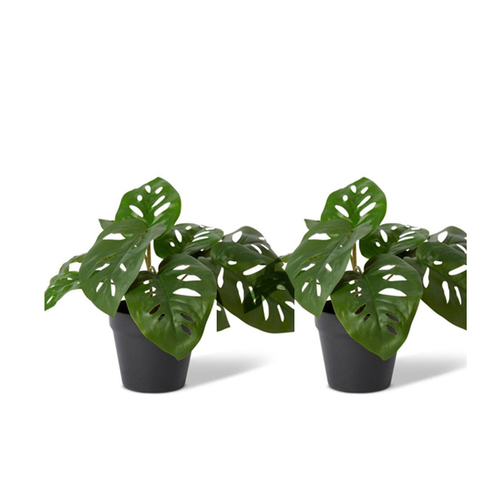2PK E Style 38cm Swiss Cheese Artificial Potted Plant - Green