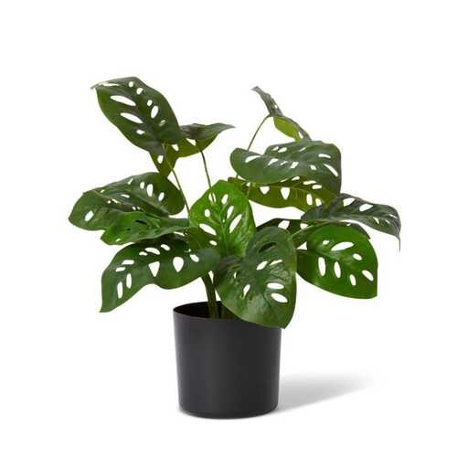 E Style 50cm Swiss Cheese Artificial Potted Plant - Green