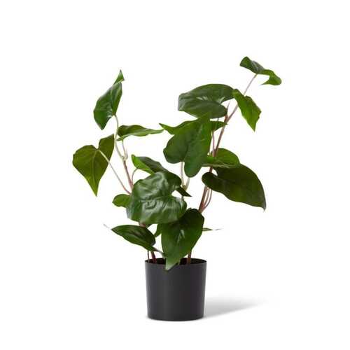 E Style 54cm Philo Wild Artificial Potted Plant - Green